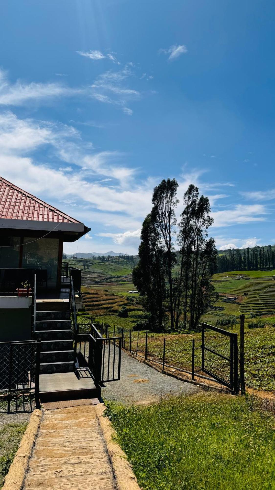 The Wooden Springs Bed & Breakfast Udagamandalam Exterior photo